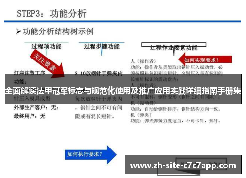 全面解读法甲冠军标志与规范化使用及推广应用实践详细指南手册集